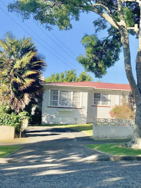 3 Churchill Street, Levin, Levin