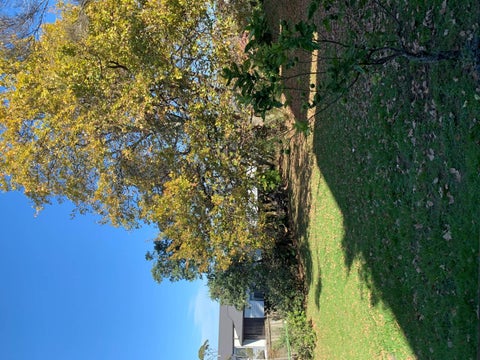 57 Castledine Crescent, Glen Innes, Auckland