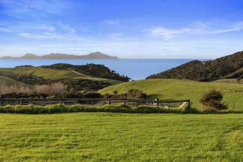 12 Tuaraki Road, Mangawhai Heads, Mangawhai
