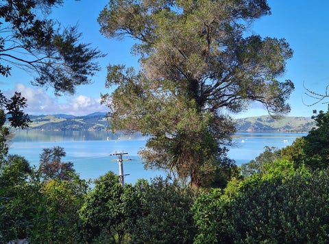 498 Wyuna Bay Road, Wyuna Bay, Coromandel