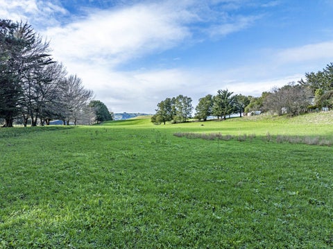 930 Te Aute Trust Road, Poukawa, Poukawa