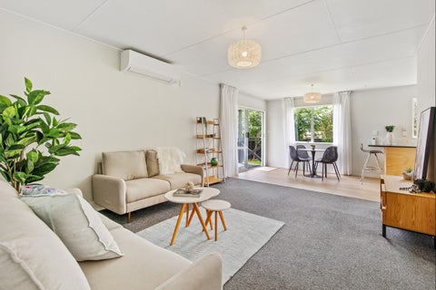 45 Green Avenue, Levin, Levin