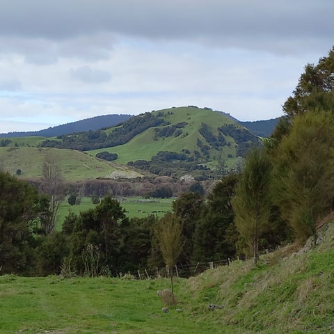 141 Puhunga Road, Waipiro