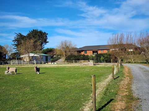 134 Motuiti Road, Foxton, Foxton
