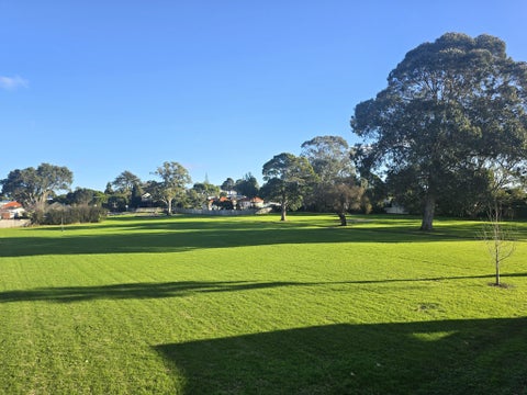 8D Taurima Avenue, Point England, Auckland