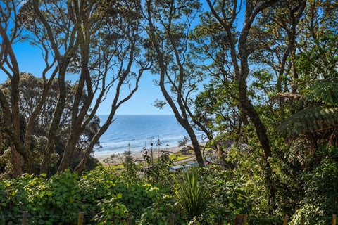 59 Pohutukawa Drive, Waiotahe, Opotiki