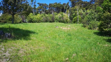 48 Selbourne Avenue, Richmond, Richmond
