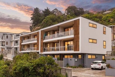 4/65 Tiketike Way, Brooklyn, Wellington