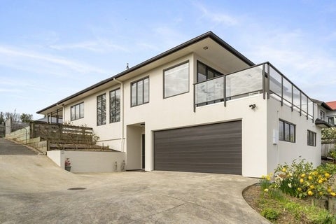 13A Manchester Street, Levin, Levin