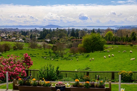 31 Exeter Place, Tihiotonga, Rotorua