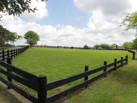 30 Eldonwood Drive, Matamata, Matamata