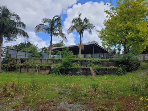 13A Puriri Street, Kamo, Whangarei