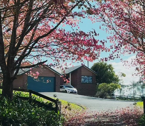 106 Kennedy Road, Albany