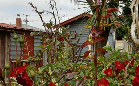 48 Birkett Street, Temuka, Temuka