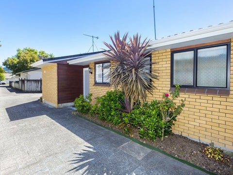 9A Seddon Street, Wallaceville, Upper Hutt