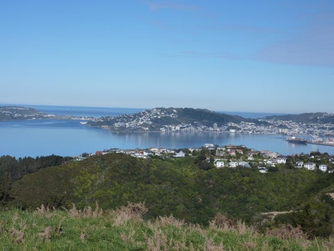 6 Spenmoor Street, Newlands, Wellington