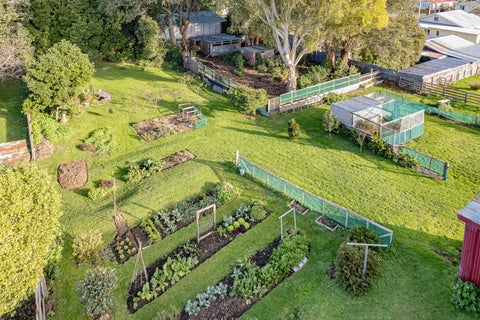 25 Brassey Street, Waverley, Waverley