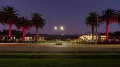 21 Phoenix Palms Grove, Levin, Levin