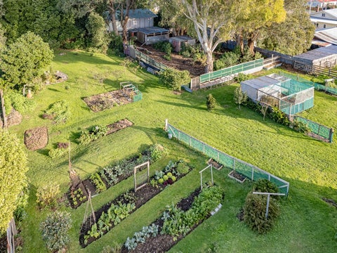 25 Brassey Street, Waverley, Waverley