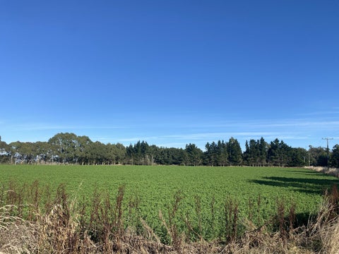 135 Bristol Road, Pareora, Pareora