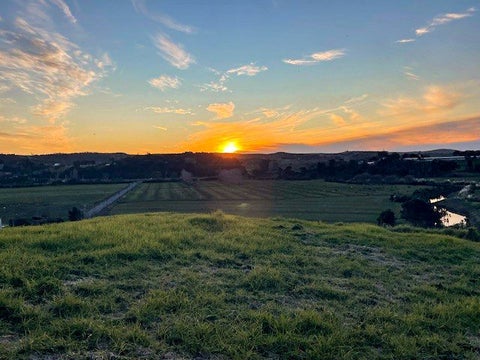 84 Kiwitahi Road, Helensville, Helensville