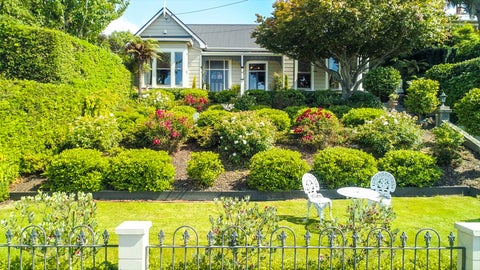 20 Neidpath Road, Mornington, Dunedin