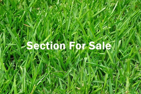 5 Primrose Lane, Karangahake, Karangahake