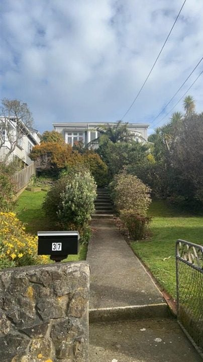 37 Charlotte Avenue, Brooklyn, Wellington