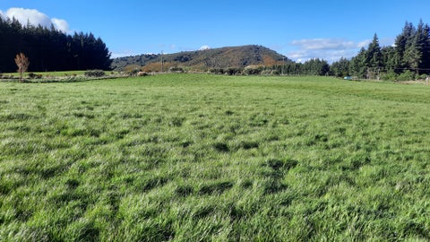 75 Creek Road, Allenton, Ashburton