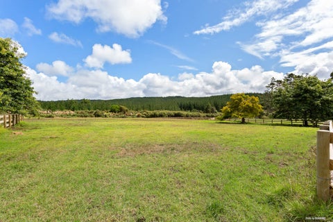 135 Mill Flat Road, Albany