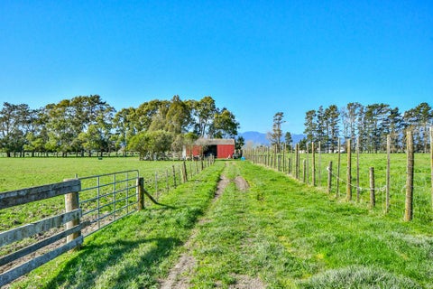 981 Hauraki Road, Thames