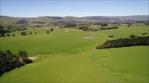 291A Ulysses Road, Ashhurst, Ashhurst