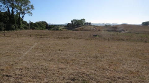 0 Blue Duck, Little Wanganui, Karamea