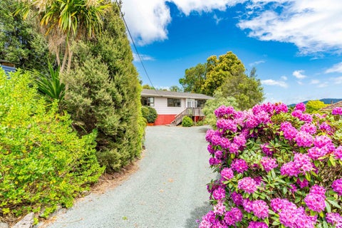 41 Morningside Road, Morningside, Whangarei