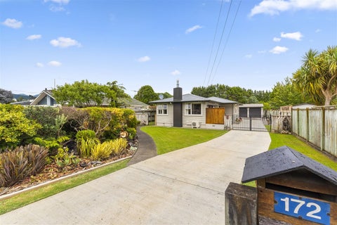 172 Roslyn Road, Levin, Levin