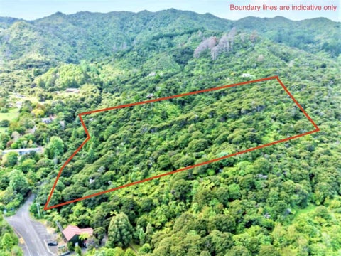 600 Buffalo Road, Coromandel