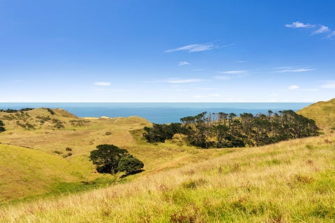 0 Rehutai Rd, Baylys Beach, Baylys Beach