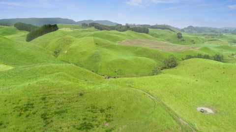 936 Mangatete Road, Ngakuru, Rotorua