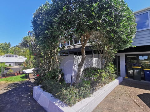 9 Chevron Place, Castor Bay, Auckland