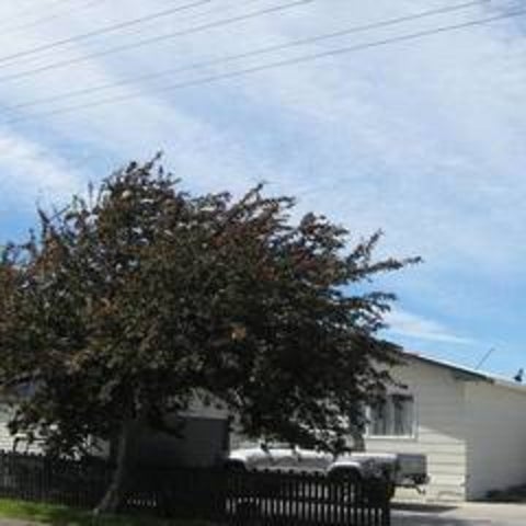 3 Bary Street, Springlands, Blenheim