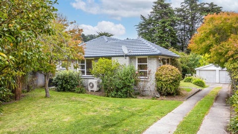 38 Waipara Street, Cracroft, Christchurch