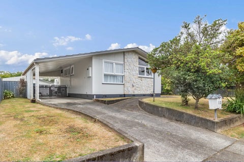 12 Regal Street, Levin, Levin