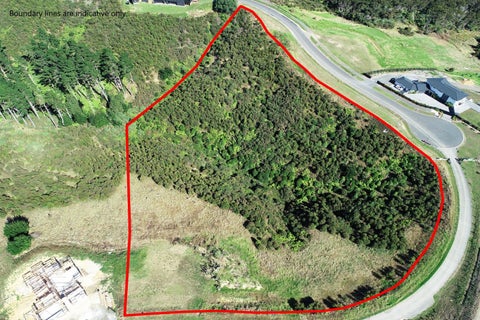 161 Solway Road, Whitford, Whitford