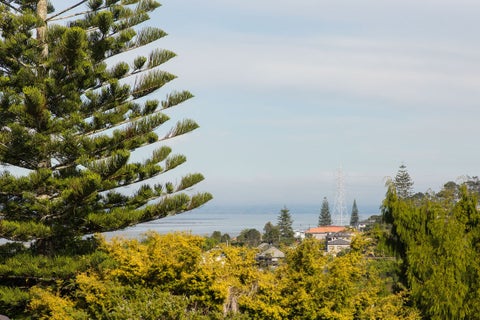 85 Carlton Street, Hillsborough, Auckland
