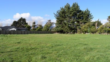 7 Dow Chung Place, Otaki
