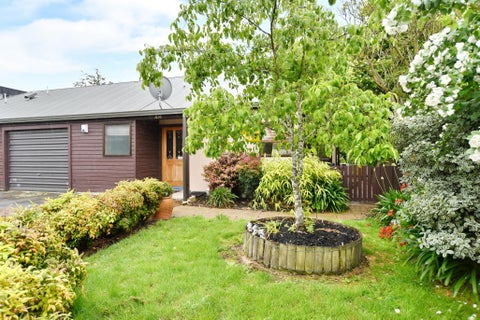 115C Packe Street, Edgeware, Christchurch