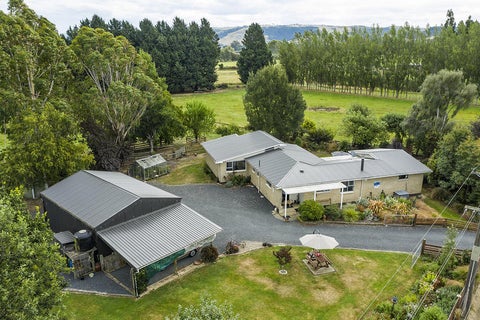 41 Hazlett Road, Mosgiel, Mosgiel
