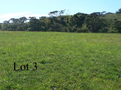 24 Te Ahiawa Road, Raglan, Raglan