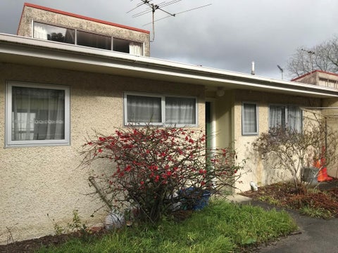 50B Bank Street, North East Valley, Dunedin