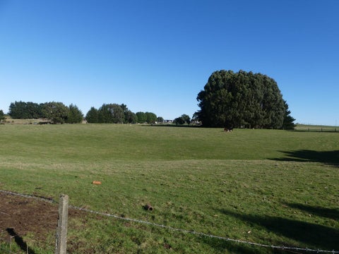 90 Perkins Street, Woodend, Invercargill